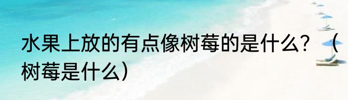 水果上放的有点像树莓的是什么？（树莓是什么）