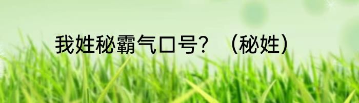 我姓秘霸气口号？（秘姓）