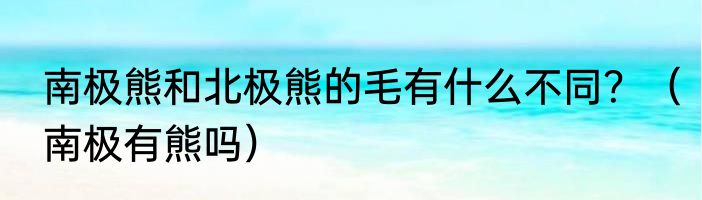 南极熊和北极熊的毛有什么不同？（南极有熊吗）