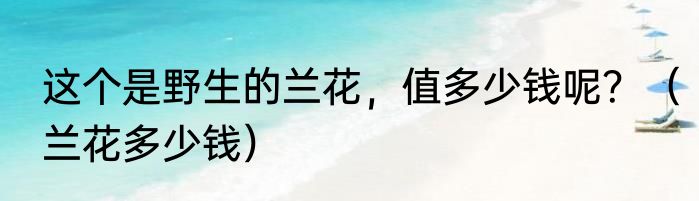 这个是野生的兰花，值多少钱呢？（兰花多少钱）