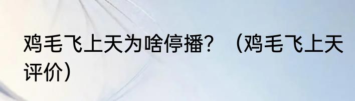 鸡毛飞上天为啥停播？（鸡毛飞上天评价）