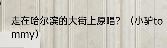 走在哈尔滨的大街上原唱？（小驴tommy）