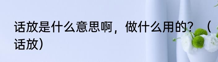 话放是什么意思啊，做什么用的？（话放）