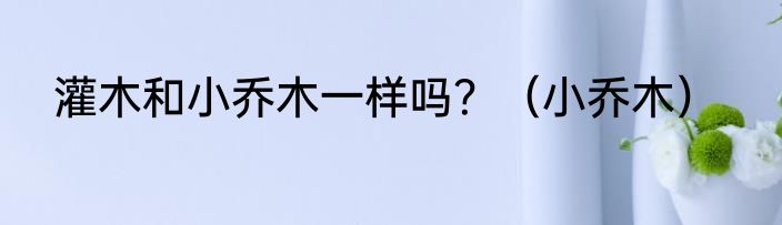 灌木和小乔木一样吗？（小乔木）