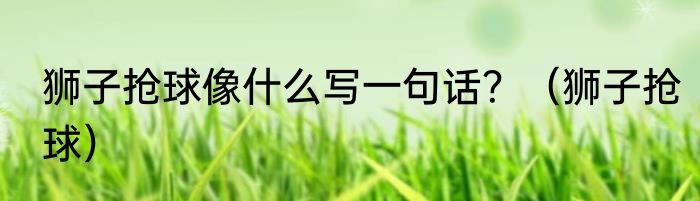 狮子抢球像什么写一句话？（狮子抢球）