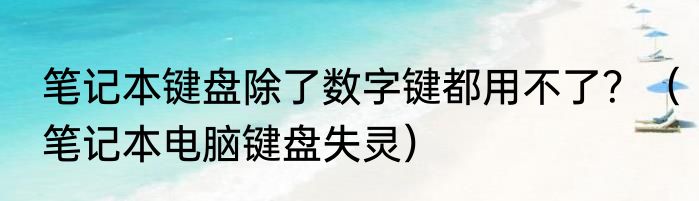 笔记本键盘除了数字键都用不了？（笔记本电脑键盘失灵）
