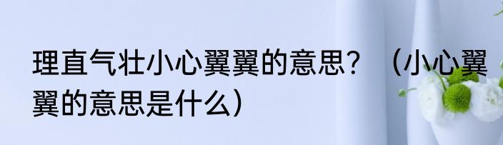 理直气壮小心翼翼的意思？（小心翼翼的意思是什么）