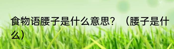 食物语腰子是什么意思？（腰子是什么）