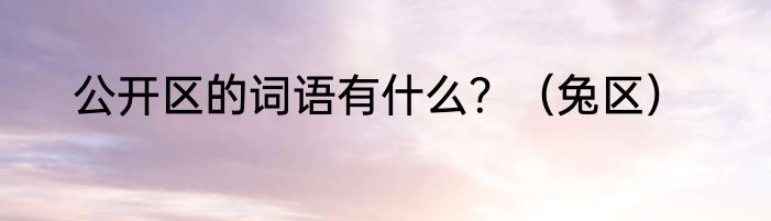 公开区的词语有什么？（兔区）
