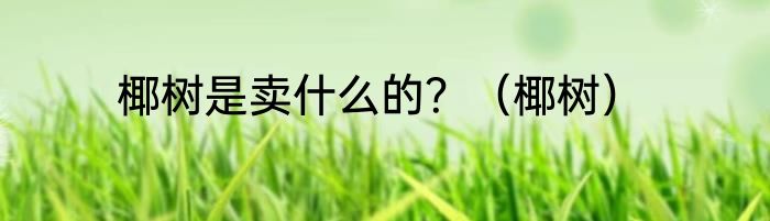 椰树是卖什么的？（椰树）