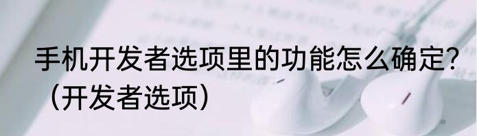 手机开发者选项里的功能怎么确定？（开发者选项）