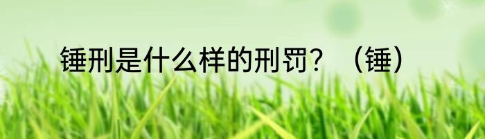 锤刑是什么样的刑罚？（锤）