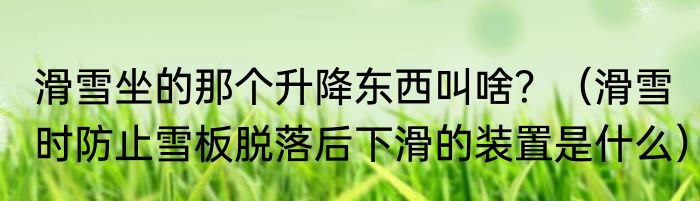 滑雪坐的那个升降东西叫啥？（滑雪时防止雪板脱落后下滑的装置是什么）