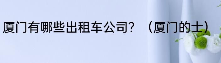 厦门有哪些出租车公司？（厦门的士）