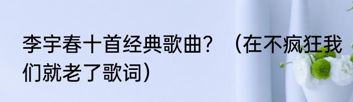 李宇春十首经典歌曲？（在不疯狂我们就老了歌词）