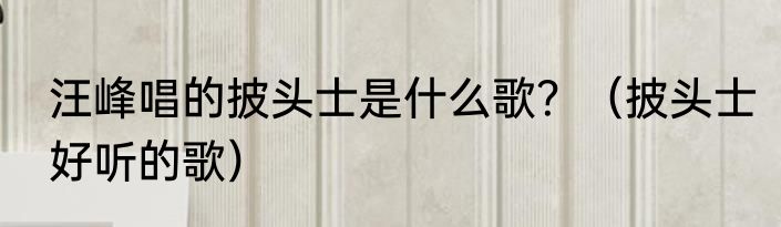 汪峰唱的披头士是什么歌？（披头士好听的歌）