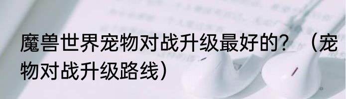 魔兽世界宠物对战升级最好的？（宠物对战升级路线）