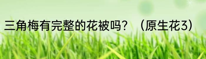 三角梅有完整的花被吗？（原生花3）
