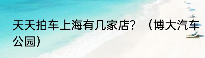 天天拍车上海有几家店？（博大汽车公园）