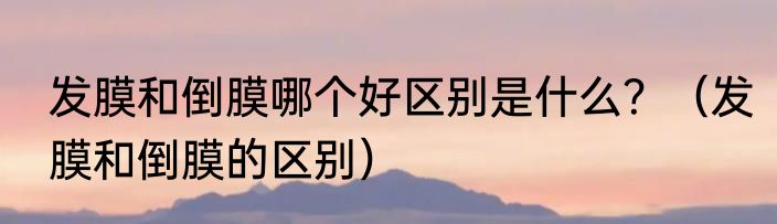 发膜和倒膜哪个好区别是什么？（发膜和倒膜的区别）