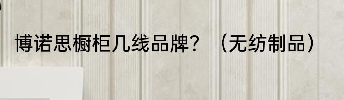 博诺思橱柜几线品牌？（无纺制品）