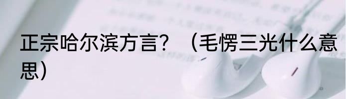 正宗哈尔滨方言？（毛愣三光什么意思）
