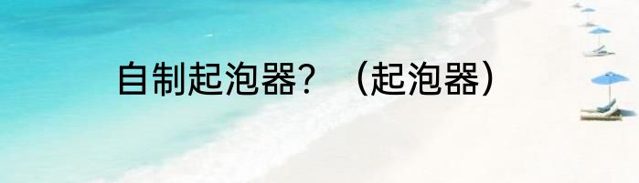 自制起泡器？（起泡器）