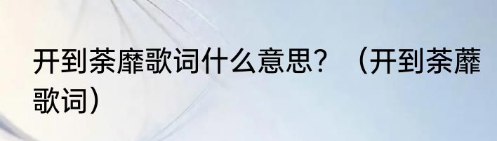 开到荼靡歌词什么意思？（开到荼蘼歌词）