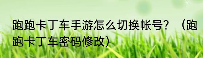 跑跑卡丁车手游怎么切换帐号？（跑跑卡丁车密码修改）