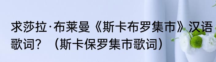 求莎拉·布莱曼《斯卡布罗集市》汉语歌词？（斯卡保罗集市歌词）