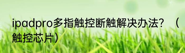 ipadpro多指触控断触解决办法？（触控芯片）