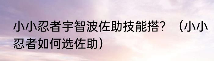 小小忍者宇智波佐助技能搭？（小小忍者如何选佐助）