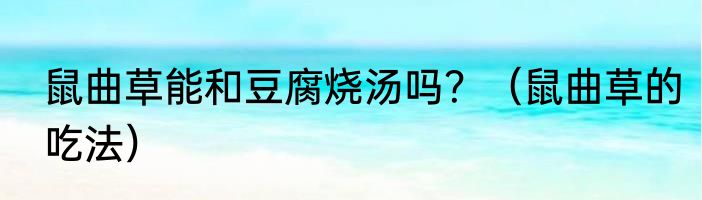 鼠曲草能和豆腐烧汤吗？（鼠曲草的吃法）