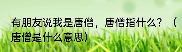 有朋友说我是唐僧，唐僧指什么？（唐僧是什么意思）