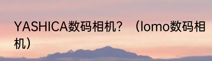 YASHICA数码相机？（lomo数码相机）
