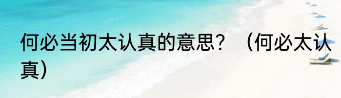 何必当初太认真的意思？（何必太认真）