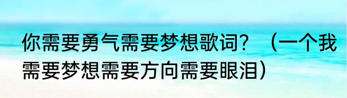 你需要勇气需要梦想歌词？（一个我需要梦想需要方向需要眼泪）