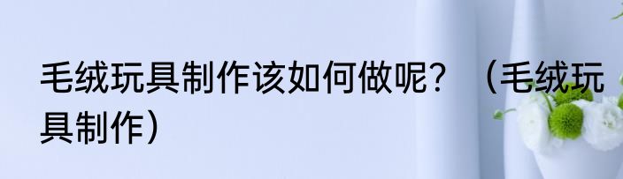 毛绒玩具制作该如何做呢？（毛绒玩具制作）