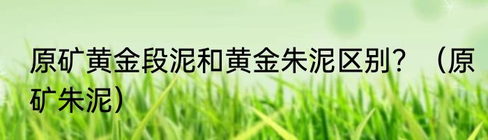 原矿黄金段泥和黄金朱泥区别？（原矿朱泥）