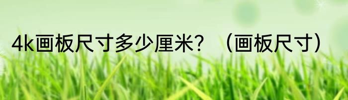 4k画板尺寸多少厘米？（画板尺寸）