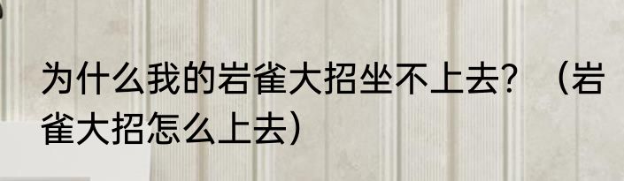 为什么我的岩雀大招坐不上去？（岩雀大招怎么上去）