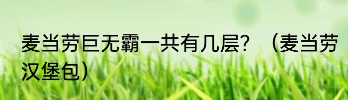 麦当劳巨无霸一共有几层？（麦当劳汉堡包）