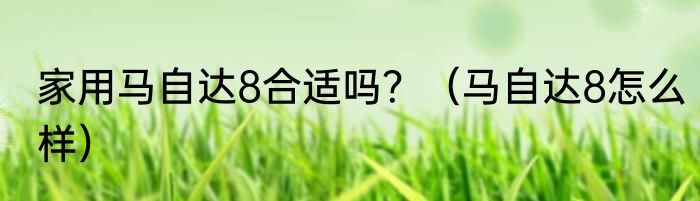 家用马自达8合适吗？（马自达8怎么样）