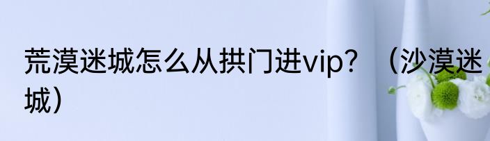 荒漠迷城怎么从拱门进vip？（沙漠迷城）