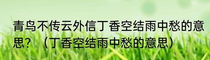 青鸟不传云外信丁香空结雨中愁的意思？（丁香空结雨中愁的意思）