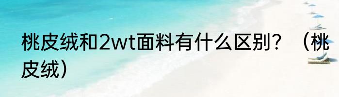 桃皮绒和2wt面料有什么区别？（桃皮绒）