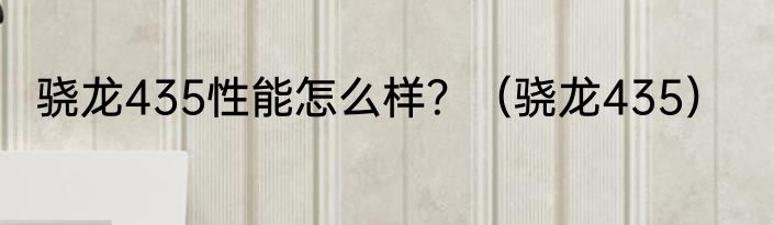 骁龙435性能怎么样？（骁龙435）
