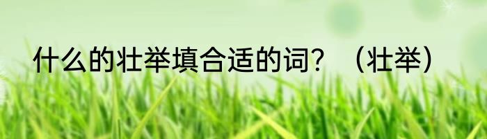 什么的壮举填合适的词?(壮举)