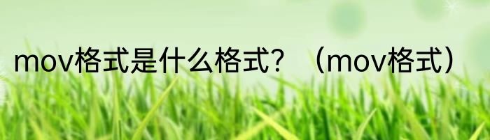 mov格式是什么格式？（mov格式）