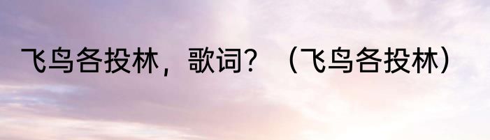 飞鸟各投林，歌词？（飞鸟各投林）